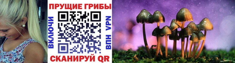 Галлюциногенные грибы прущие грибы  Борзя 